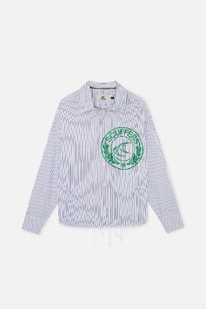 Camisas Scuffers CLG stripes Grises | 31694DSHY