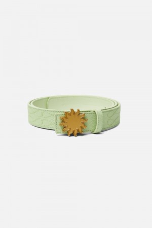 Cinturones Scuffers Tarifa Belt Verdes | 79864JWCA